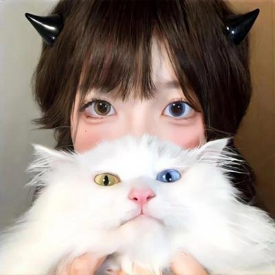 独臂拳王大破血滴子